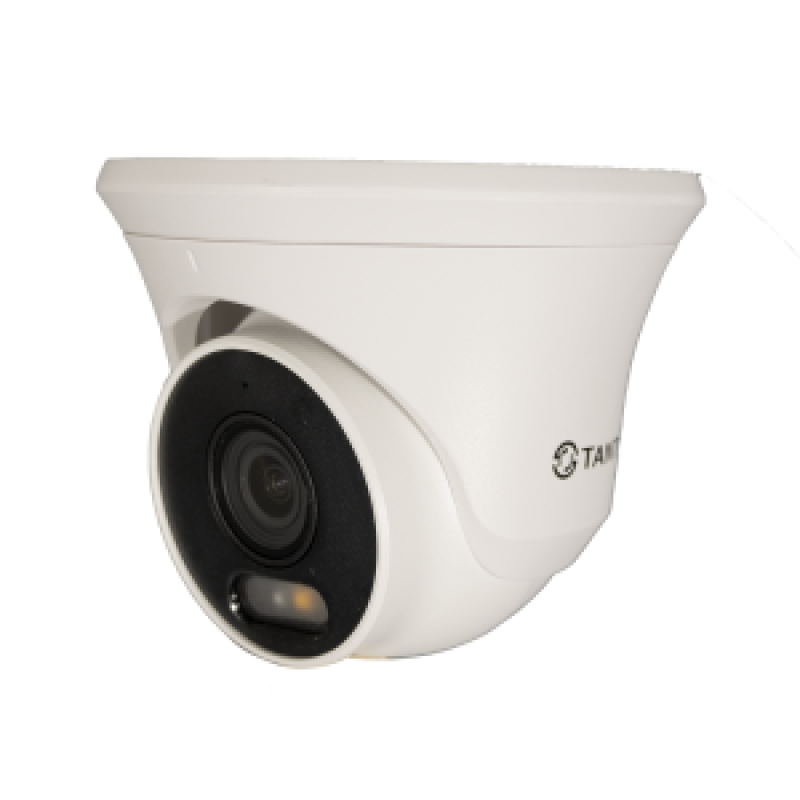 Видеокамера IP TSi-Ee60F