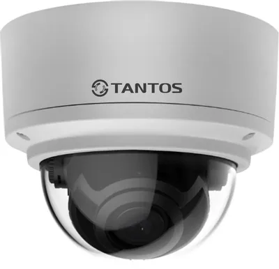 Видеокамера IP TSi-Ve50VPA