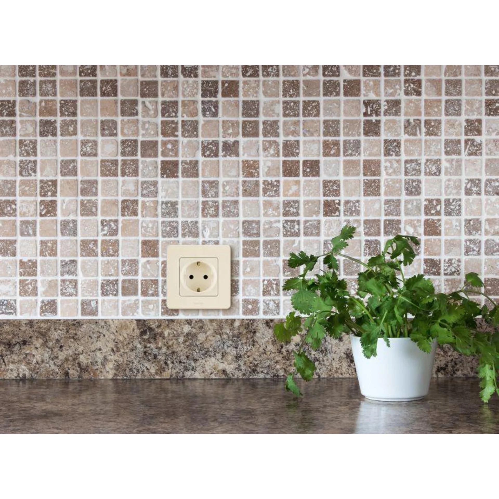 Розетка 1-м СП Inspiria 16А IP20 250В 2P+E немецк. стандарт механизм сл. кость Leg 673721