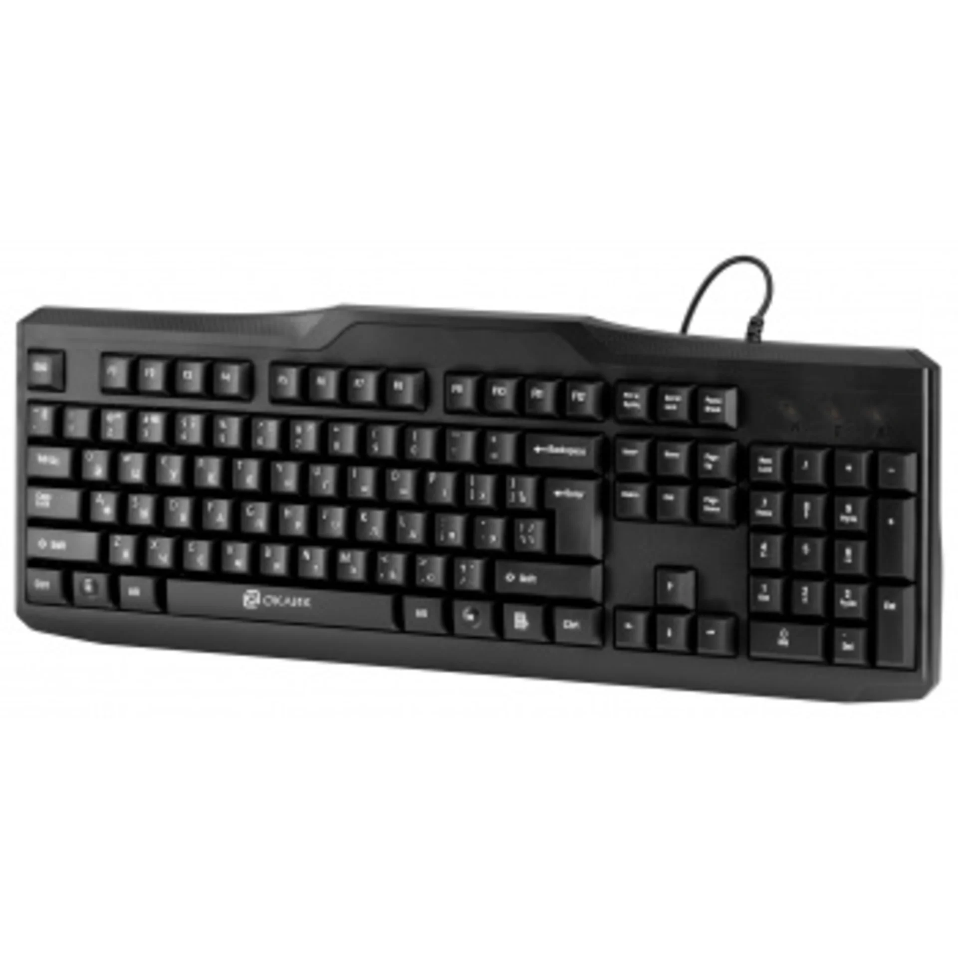 Клавиатура Оклик 170M черный USB (855272)