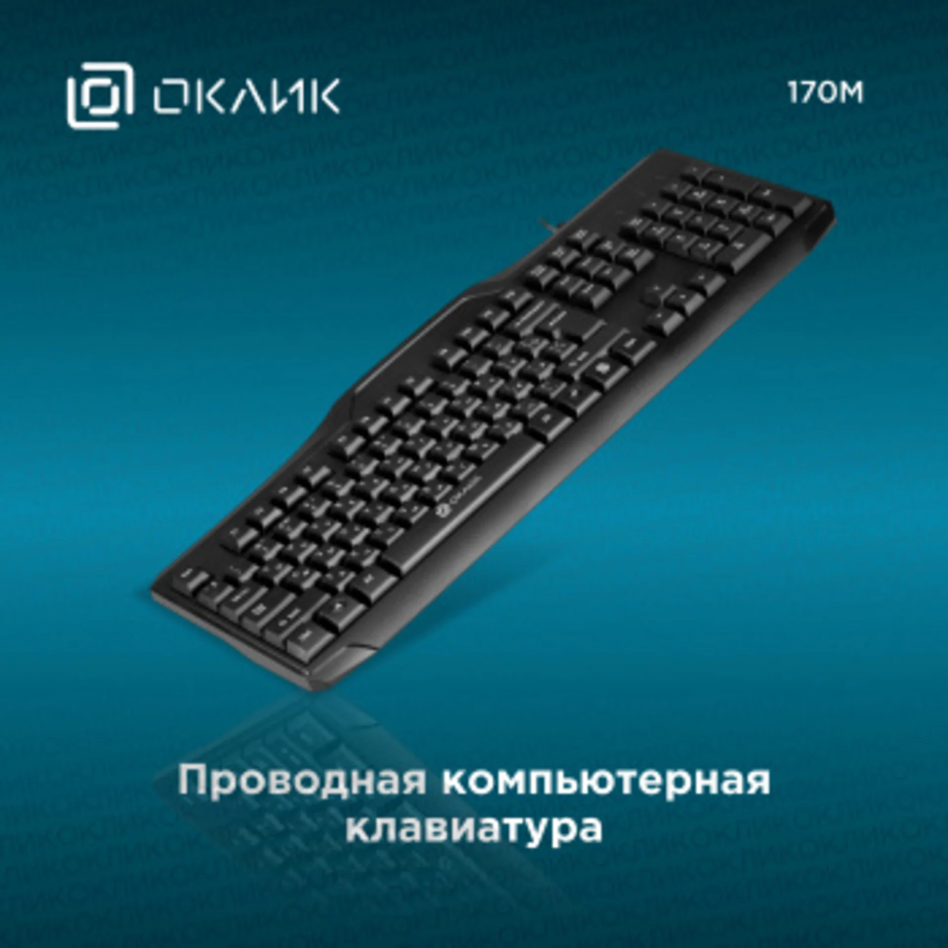 Клавиатура Оклик 170M черный USB (855272)