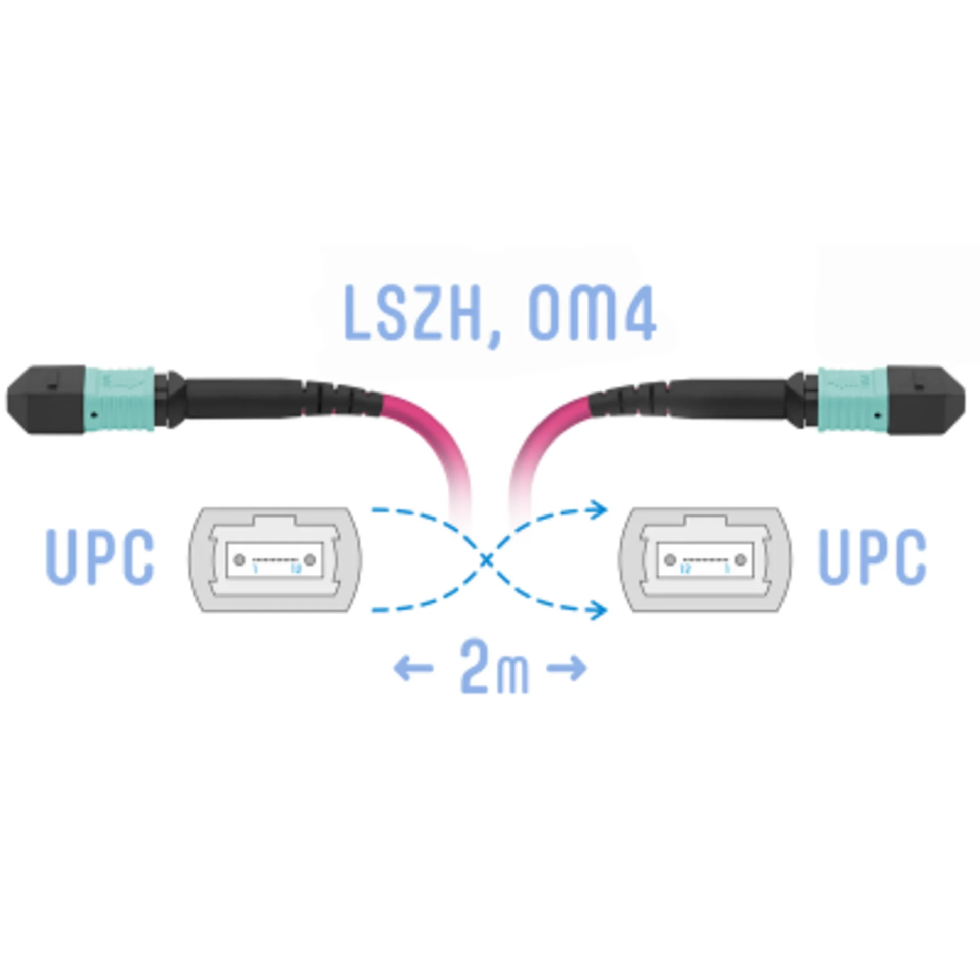 Патчкорд оптический MPO/UPC FF MM (50/125 OM4), 8 волокон, 2 метра (Cross)